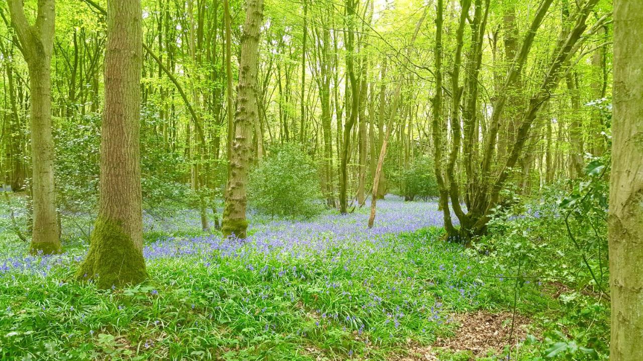 Ashwood Holiday Cottage. แอชฟอร์ด ภายนอก รูปภาพ